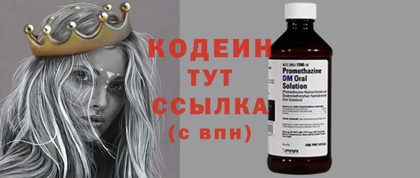 ешки Снежинск